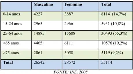 Gráfico 1- Pirâmide etária dos Residentes do concelho de Évora 