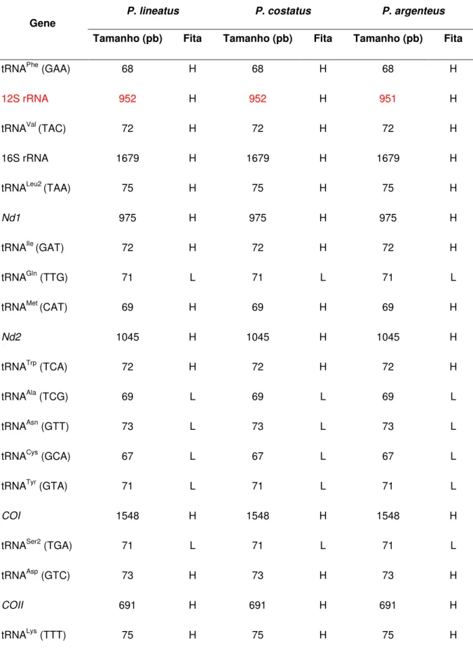 Tabela 2: Comparação das anotações dos genomas mitocondriais de P. lineatus, P. argenteus  e P