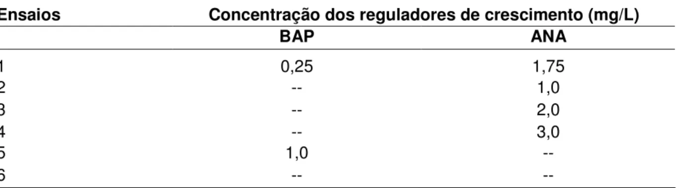 Tabela  III.2.  Diferentes  concentrações  de  reguladores  de  crescimento  utilizados  nos  ensaios na indução de calo e raízes durante cultivo in vitro da cúrcuma em meio MS 