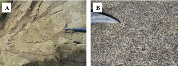 Figura  4.8:  Características  mesoscópicas  e  macroscópicas  das  rochas  da  fácies  de  granulação  fina