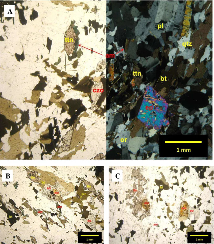 Figura 4.9: Características microscópicas das rochas da fácies Brasilândia Fino. A) Minerais mais comuns 