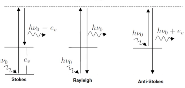 Figura 4.3: Esquema dos mecanismos de espalhamento. S˜ ao mostradas representa¸c˜ oes para os espa- espa-lhamentos Raman Stokes, e anti Stokes e para o espalhamento el´astico Rayleigh [29].