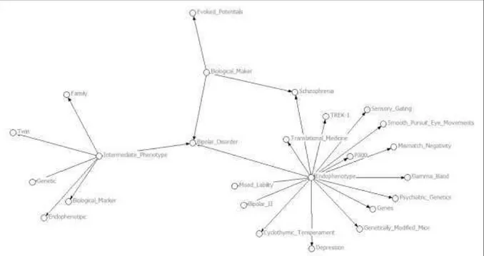 Gráfico  15.  Redes  sociais  entre  as  temáticas  abordadas  sobre  o  modelo  de  endofenótipos  do  transtorno  bipolar do humor                                                                                                                                                 