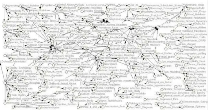 Gráfico  18.  Redes  sociais  entre  as  temáticas  abordadas  sobre  o  modelo  de  endofenótipos  do  transtorno  bipolar do humor 