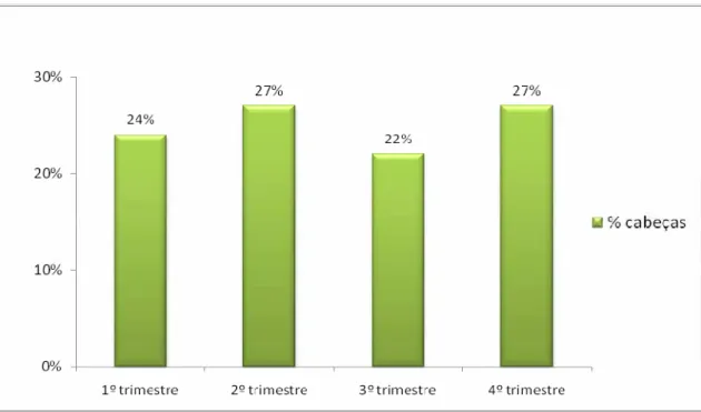 Figura 3. Distribuição do percentual de abates por trimestre no Estado do Paraná – 2008