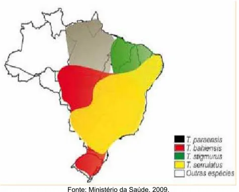 Figura 1. Distribuição das principais espécies de escorpião no Brasil, 2008. 