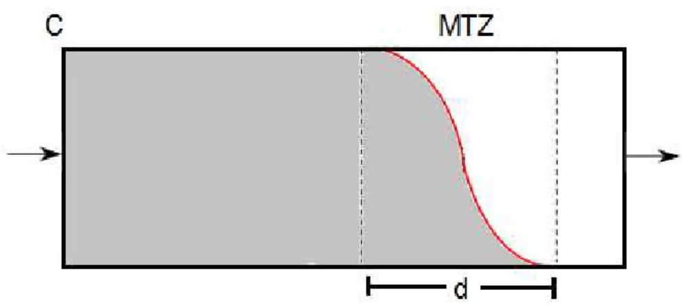Figura 3.6 -  Representação da zona de transferência de massa –  MTZ  em um  determinado tempo t; d: comprimento do MTZ