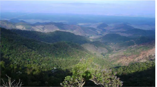 FIGURA 5  – Vista panorâmica da região, apresentando o relevo “Mar de Morros”.  Fonte: MOVIMENTO PRÓ-RIO DOCE, 2009