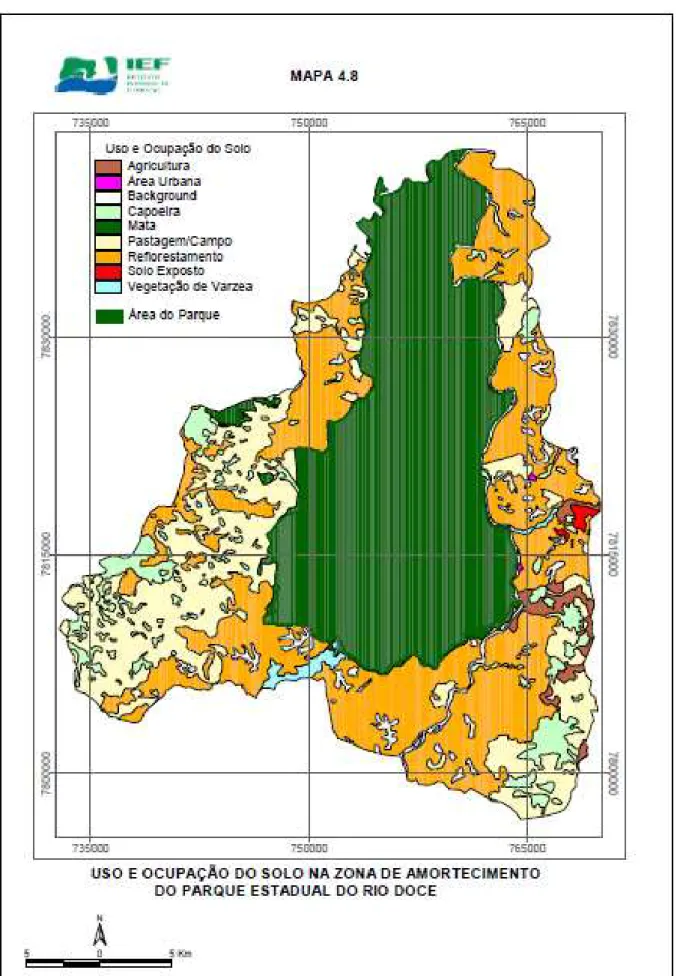 FIGURA 8  – Mapa de cobertura vegetal e usos do solo produzido pelo IEF – MG (2008). 