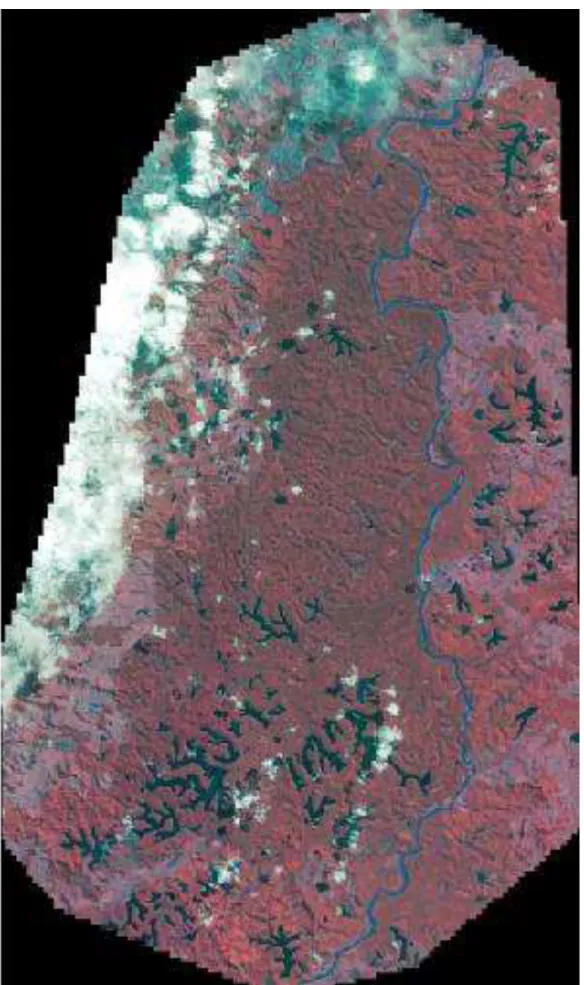 FIGURA  9  –  Mosaico  das  imagens  IKONOS  (2007)  do  PERD  e  entorno,  com  composição  RGB  falsa  cor  (4,  3,  2)  com  2  m  de  resolução  espacial,  construído  no  ER  Mapper