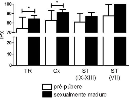 Figura 8  –  Comparação temporal da expressão de AR em células de Sertoli localizadas nas diferentes  regiões investigadas de ratos  pré-púberes e sexualmente maduros