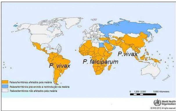 Figura 1. Distribuição mundial da malária em 2010 (Adaptado de WHO, 2012). 