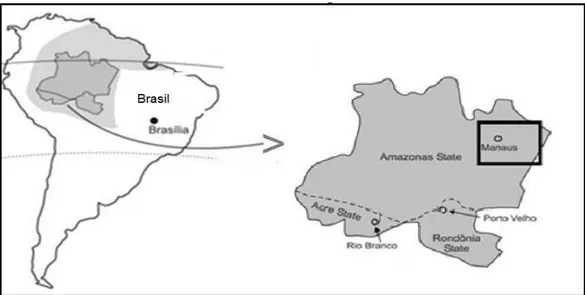 Figura 6. Mapa do Brasil evidenciando a localização da região de estudo no  estado do Amazonas