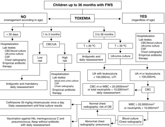 Figure 1 -  Guideline