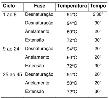 FIGURA 3 - Visualização de produtos de PCR e controle negativo. 