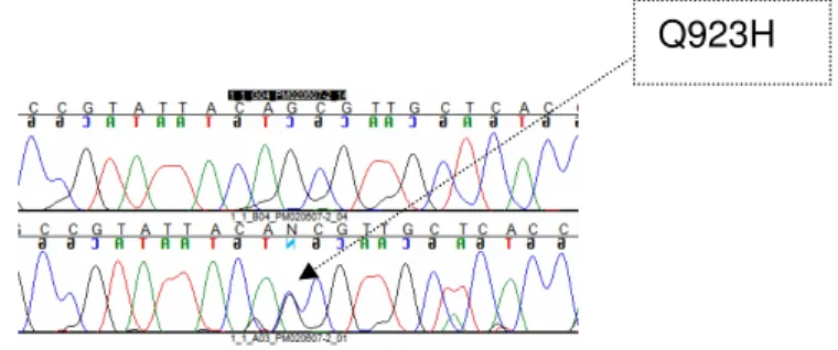 FIGURA 6 – Mutação inédita no gene LRRK2- Q923H. 