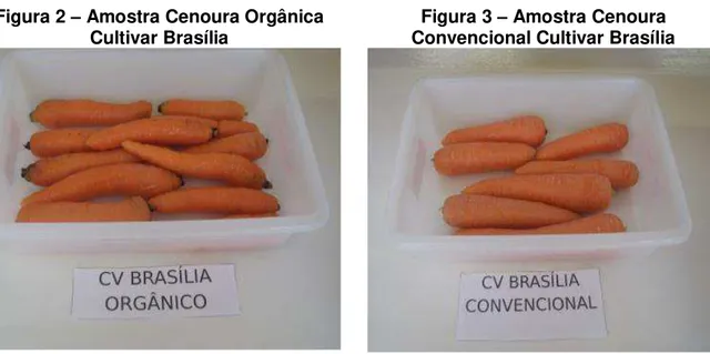 Figura 2  – Amostra Cenoura Orgânica 