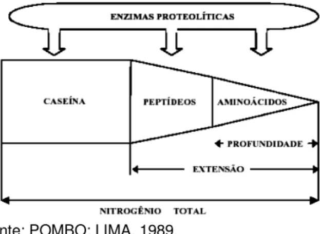 FIGURA 3 - Representação esquemática sobre os                       conceitos de extensão 