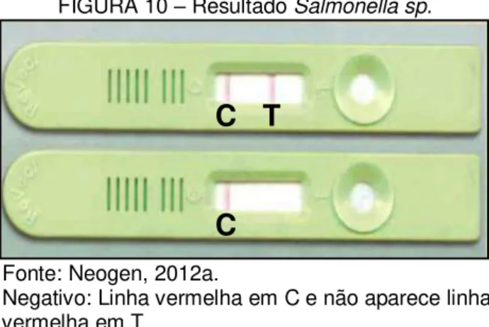 FIGURA 10  – Resultado Salmonella sp. 