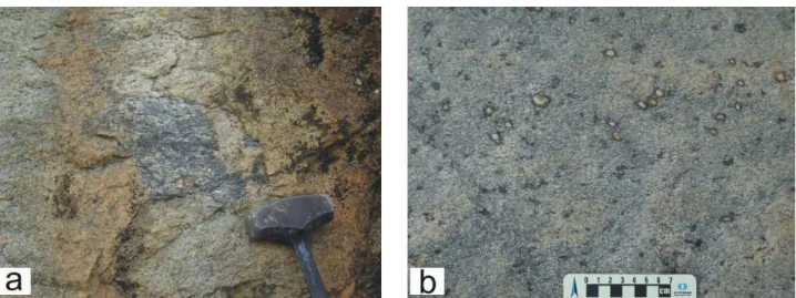 Fig.  22  -  Granito  Maranhão  foliado  (G2),  (a)  com  restito  de  gnaisse  kinzigítico  e  (b)  resíduos  de  fusão  representados  por  cristais 
