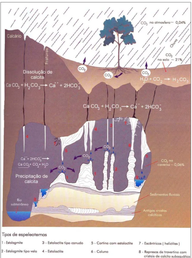 Figura 5.2 -  Dissolução e precipitação da calcita num perfil cárstico de origem calcária