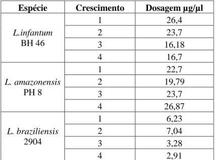 Tabela  1:  Valores  da  dosagem  das  proteínas  das  amostras  de  Leishmania  amazonensis  (PH8), 