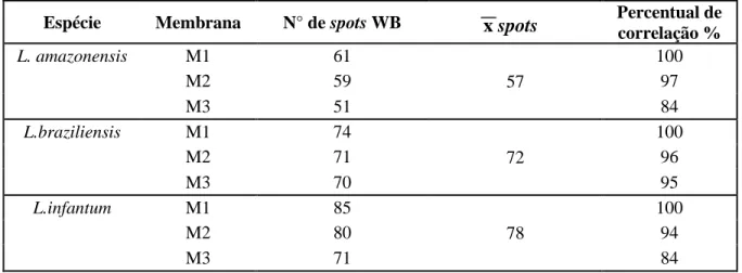 Tabela 3: Número de spots reativos para Leishmania amazonensis (PH8), L.braziliensis (2904) e 