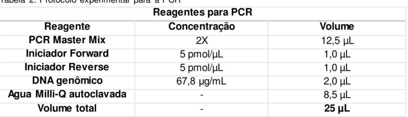 Tabela  2: Protocolo experimental  para  a PCRTabela  1: Sequências  dos iniciadores 