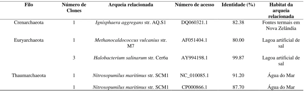 Tabela 6 - Afiliação filogenética e distribuição dos clones de arqueias em rejeitos depositados (RD) 
