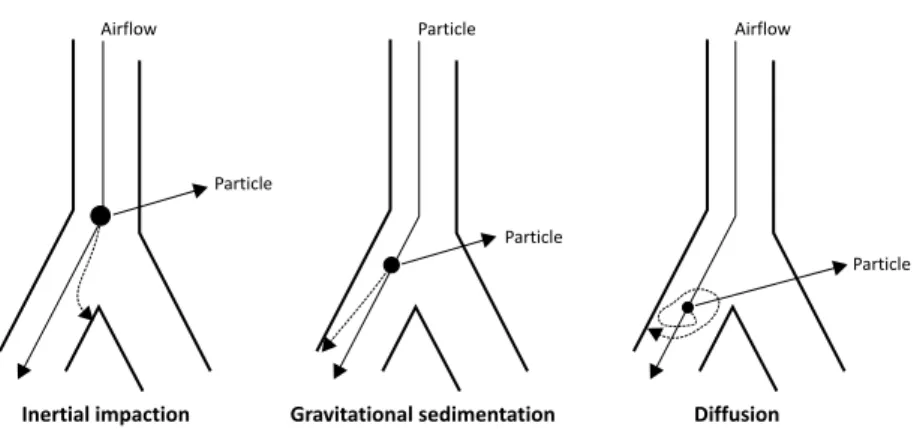 Figure 1 -  Mechanisms of lung depositionArticles of MEDLINE database from 1983 were reviewed, and the most important and scientiically accurate studies were selected according to the criteria established for this review article