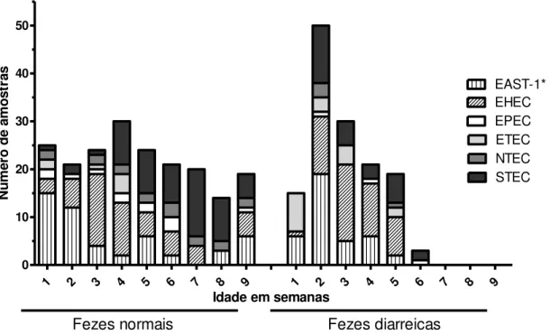 Figura  2.2:  Distribuição  dos  patotipos  de  E.  coli  isolados  de  fezes  normais  e  diarréicas  de  bezerros  de  acordo com a faixa etária