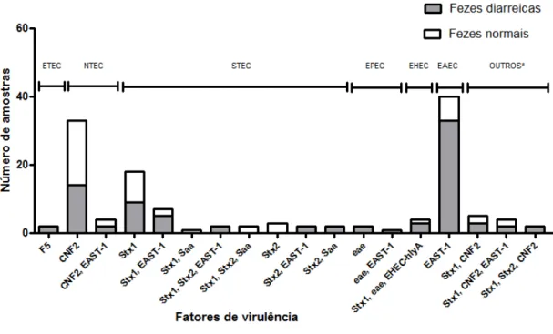 Figura  3.1:  Número  de  amostras,  fatores  de  virulência  e  patotipos  de  Escherichia  coli  isoladas  de  amostras  fecais  diarreicas  e  não  diarreicas  de  bezerros  bubalinos  com  até  90  dias  de  idade  em  Minas  Gerais
