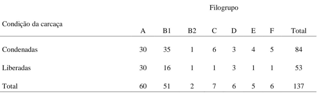 Tabela  4.1:  Distribuição  dos  filogrupos  de  amostras  Escherichia  coli  isoladas  de  carcaças  de  frango  liberadas para consumo (sem alterações macroscópicas) e condenadas ao abate.