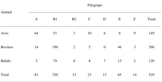 Tabela 5.1: Distribuição dos filogrupos de E. coli de acordo com o animal doméstico analisado