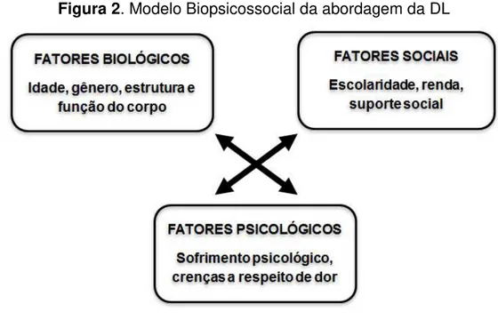 Figura 2. Modelo Biopsicossocial da abordagem da DL 