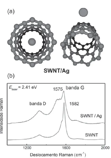 Figura 2.16: (a) Esquema de nanotubo interagindo com a Ag, se tornando um aceitador 