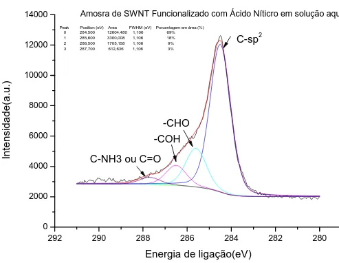 Figura 4.9: Espectro XPS de C1s para SWNT funcionalizado em solução aquosa de 