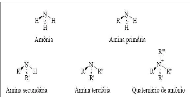 Figura  3.7  –  Estrutura  molecular  da  amônia,  amina  primária,  secundária,  terciária  e  quaternária (NEDER e LEAL FILHO, 2006)