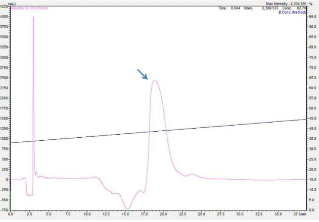 Figura 13: Perfil cromatográfico da recLiD1 em coluna analítica C18. A fração 