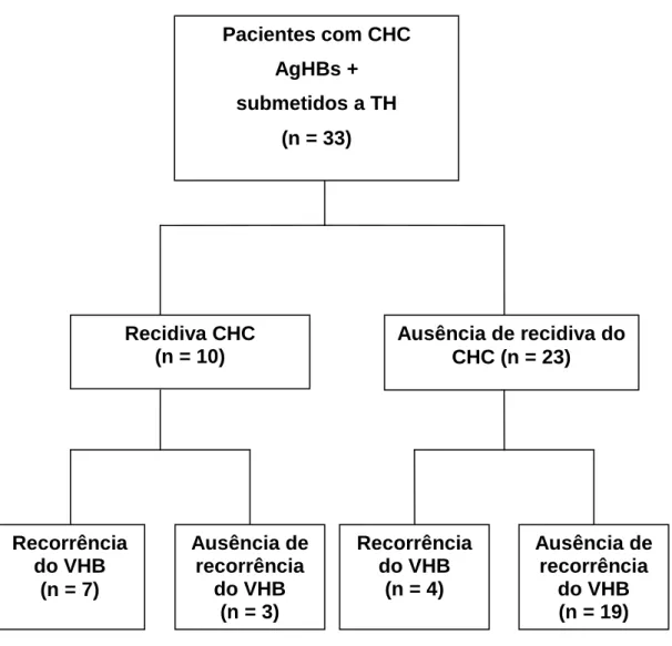 Figura  6:  Organograma  mostrando  pacientes  transplantados  com  carcinoma  hepatocelular (CHC),  que apresentaram ou não recidiva tumoral e recorrência  da hepatite B após o transplante de fígado