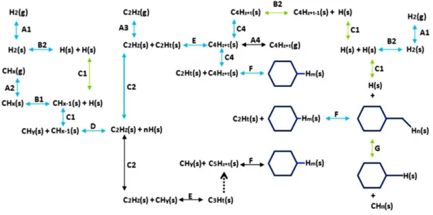 Figure 2-14 - Reaction mechanisms in CVD graphene. The blue arrows indicate the more probable (but not unique)  reaction mechanisms