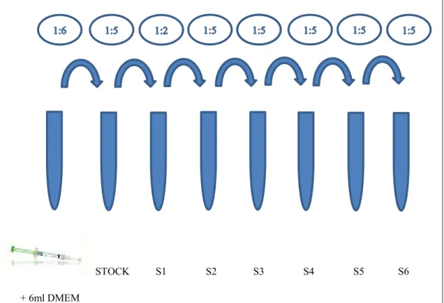 Figura  8:  Esquema  ilustrativo  de  uma  preparação  com  diluição  respetiva  para  o  produto  Opalescence    PF,  peróxido  de  carbamida a 16% (S1: solução 1, S2: solução 2, S3: solução 3,  S4: 