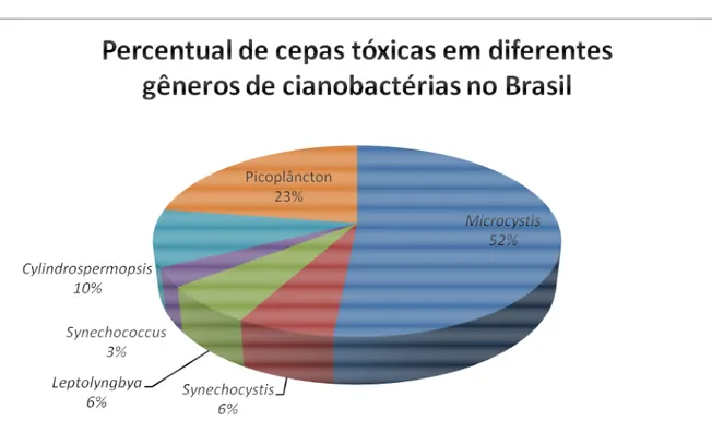 GRÁFICO 1 