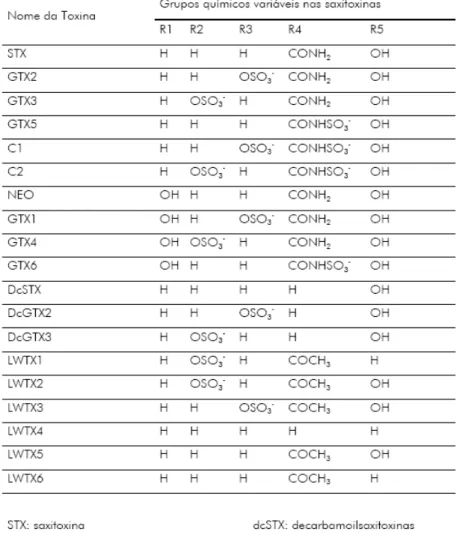 TABELA 1: Tipos de saxitoxinas caracterizadas a partir de diferentes cepas de cianobactérias,  de acordo com Chorus e Bartram, (1999)