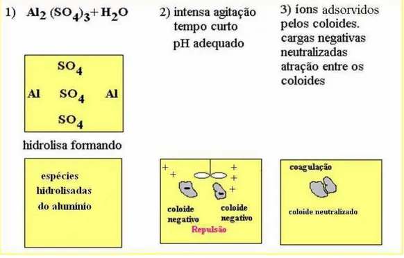 FIGURA 5: Esquema mostrando o caminho para a coagulação por adsorção e neutralização de  carga