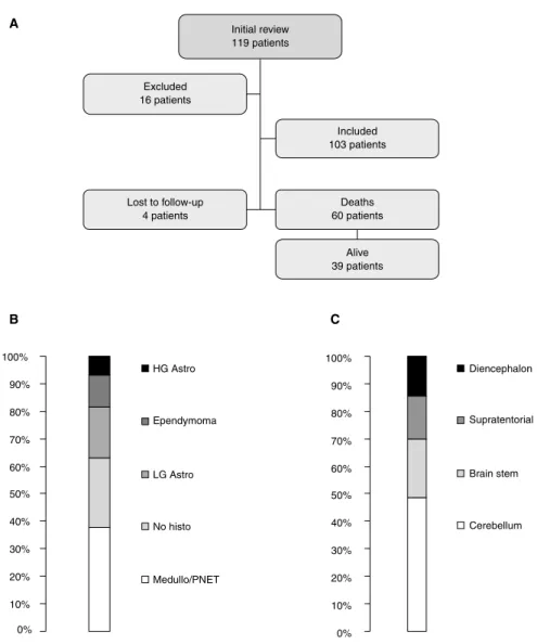 Figure 1 -  (A)  Flowchart  of  patient  inclusion  in  the  study.  (B)  Tumor  distribution  according  to  histopathological indings