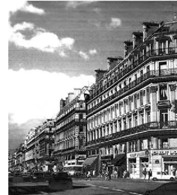 Figura 17 – Vista de Paris, Avenida L’Opera.  Fonte: www.images.google.com.br. 