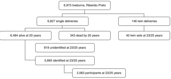 Figure 1 -  Sampling frame of the 1978/1979 birth cohort