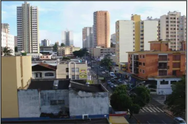 FOTO 2 - Calçadão na área central de Londrina. Espaço  organizado parao comércio sem constrangimentos para o trânsito