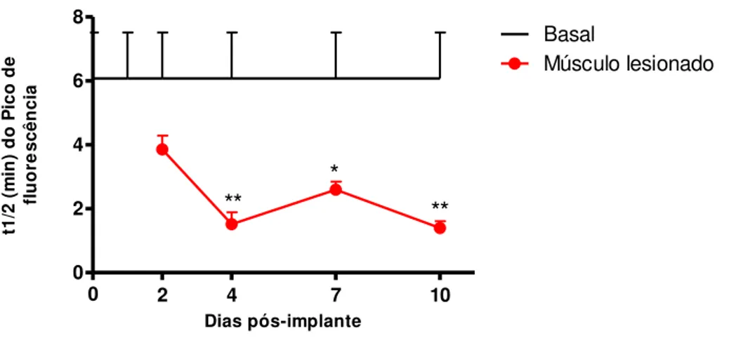 Figura  6.    Variação  do  fluxo  sanguíneo  avaliado  pelo  método  de  difusão  da  fluoresceína  sódica  na  musculatura  abdominal  esquelética  de  camundongos  adjacente  a  implantes  de  esponja  e  musculatura  abdominal  esquelética de  camundon